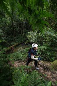 BIB: 
                            <button type="button" onclick="openModal(16029649)" class="btn btn-primary btn-sm float-right btn-popup" data-toggle="modal" data-target=".modal-high-quality">
                        <i class="fas fa-shopping-cart"></i> Add to Cart
                    </button>
                                            <button type="button" onclick="isThisMe(16029649, true)" class="btn btn-success btn-sm float-right btn-popup btn-isme hidden" data-toggle="tooltip" data-placement="bottom" title="นี่คือรูปของคุณใช่ไหม คลิกที่นี่เพื่อเอาเข้าอัลบั้ม">
                        <i class="fas fa-plus"></i> Add to album
                    </button>
                    <button type="button" onclick="isThisMe(16029649, false)" class="btn btn-warning btn-sm float-right btn-popup btn-isnotme hidden">
                        <i class="fas fa-ban"></i> Remove from album
                    </button>